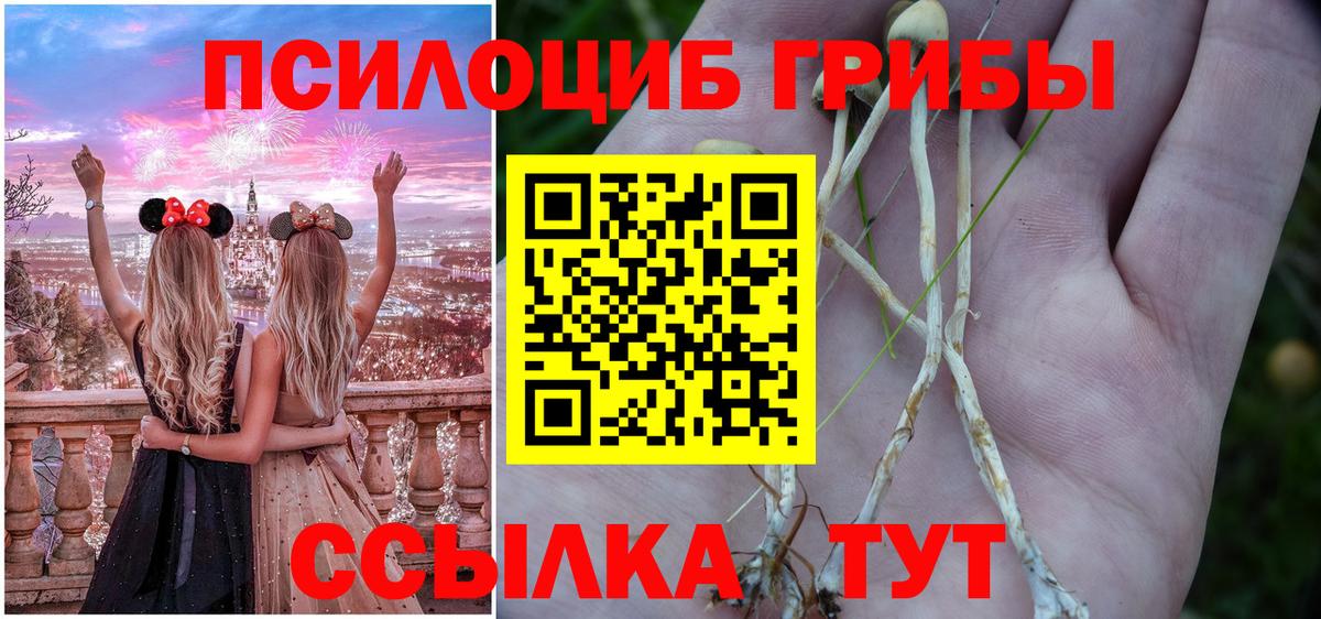 Мариинск  Псилоцибиновые грибы GOLDEN TEACHER  Вход с VPN 